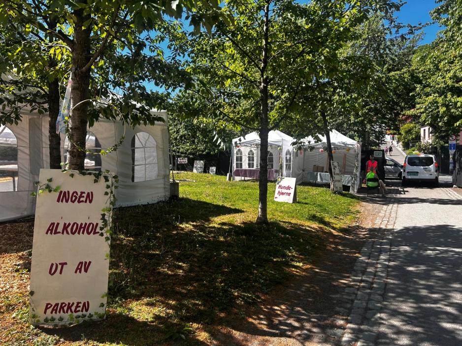 Oslo vegetarfestival rigges klar