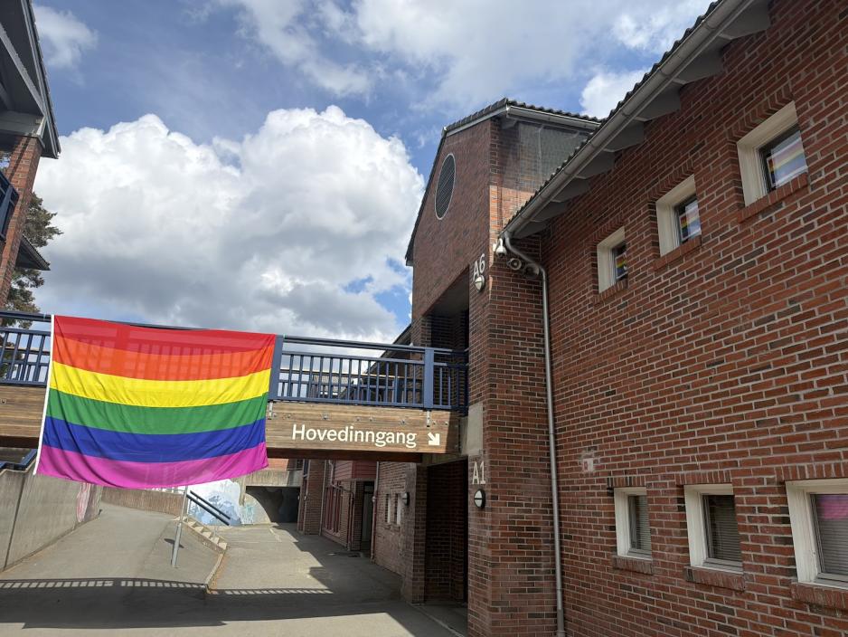 Prideflagg som henger p&aring; en bro