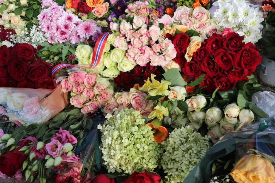 Forskjellige type blomster tett i tett.