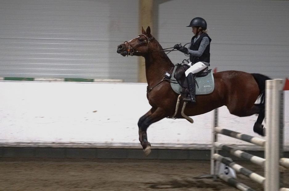 Brun ponni og rytter hopper over hinder