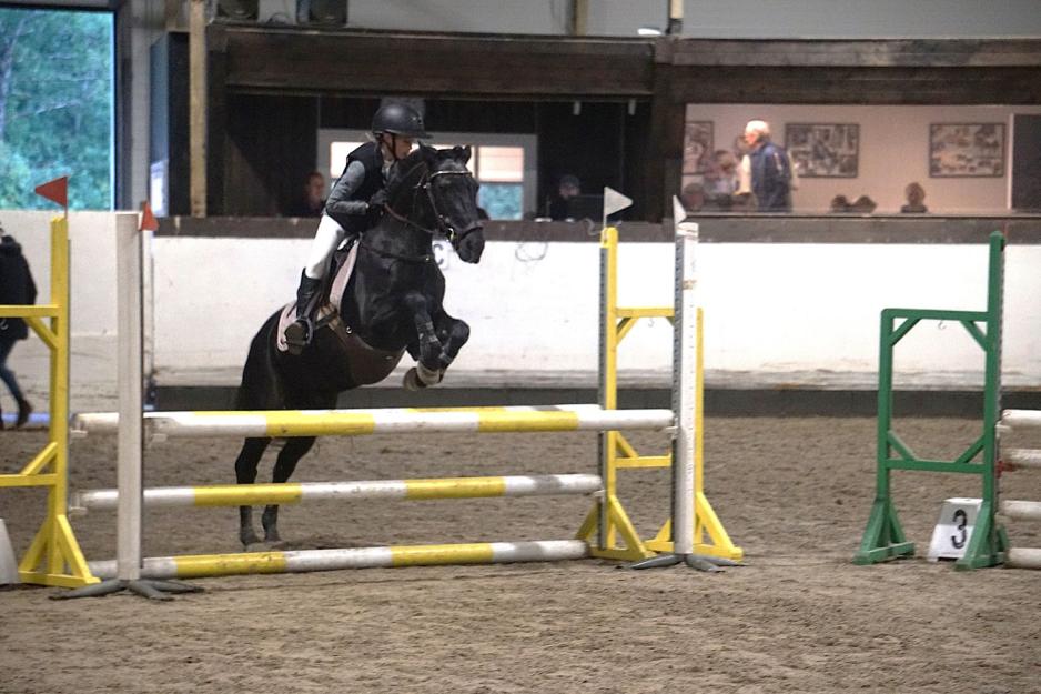 Ung rytter hopper med ponni