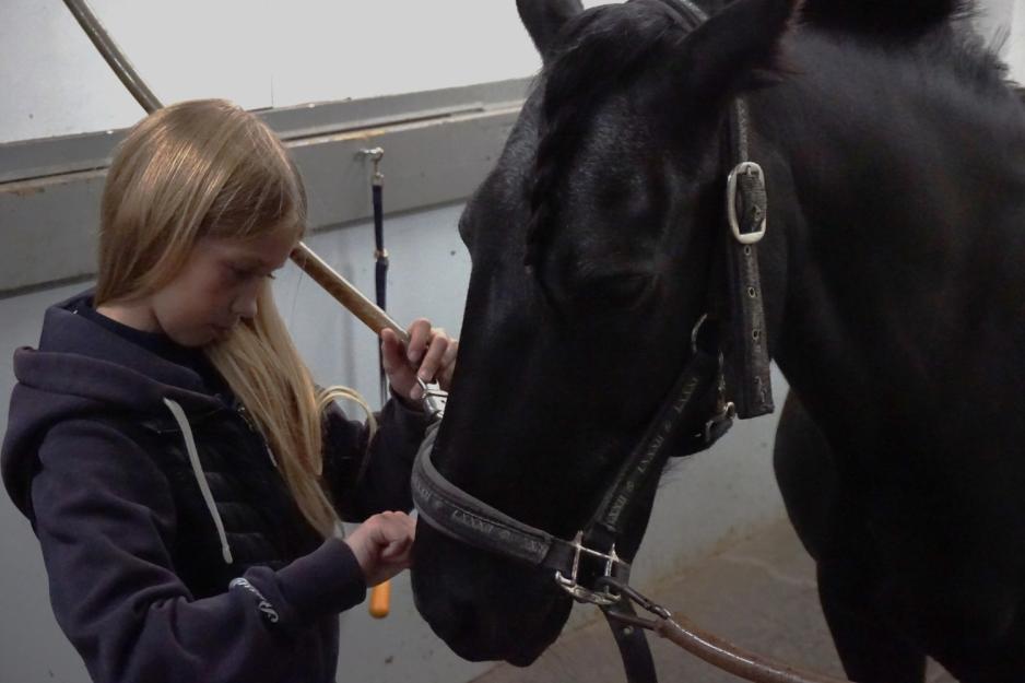 Jente steller hest