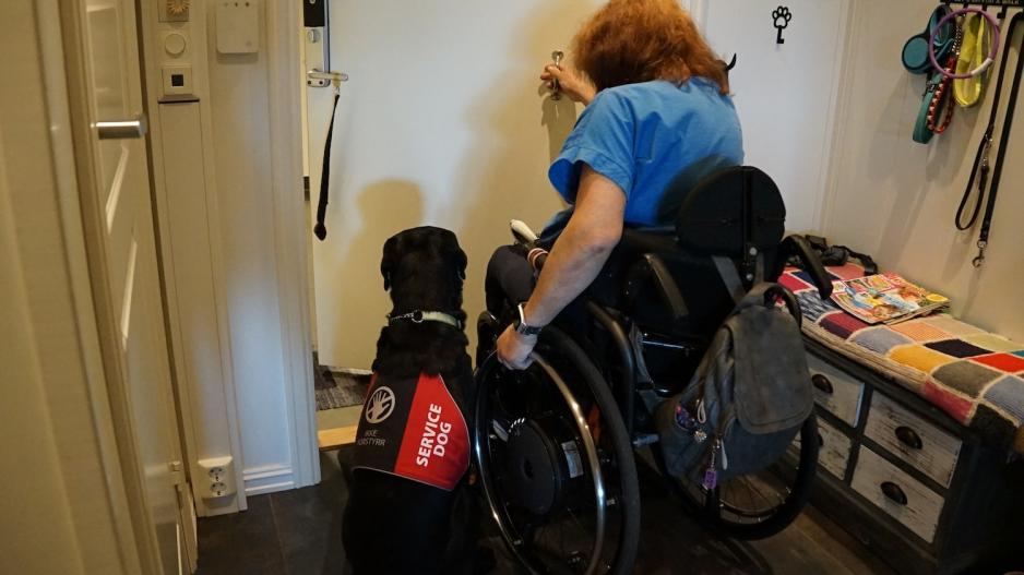 en servicehund og en rullestolbruker skal gå gjennom en dør