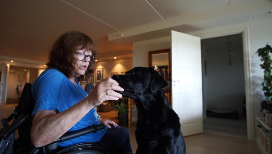 En servicehund får en godbit som belønning 