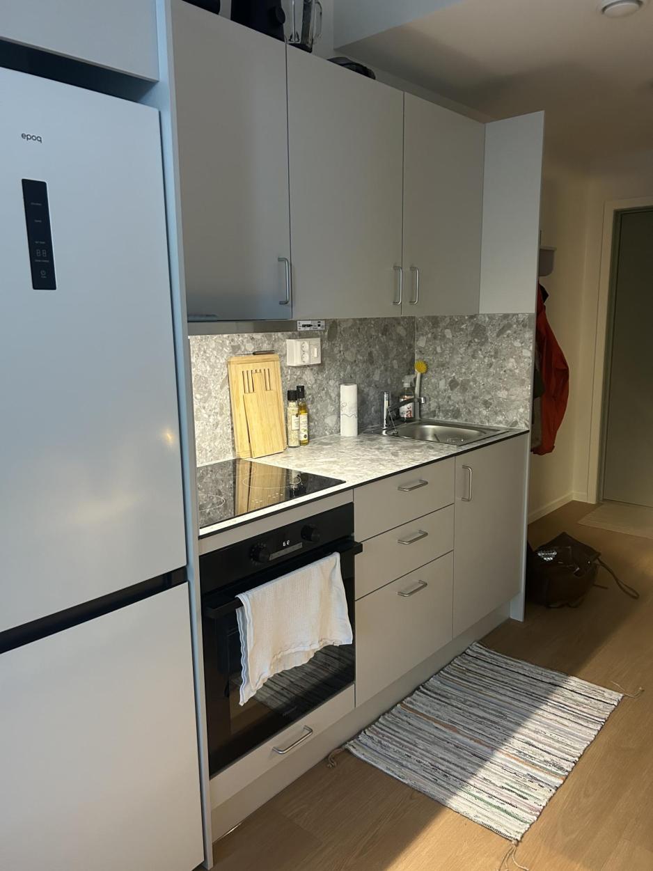 Kj&oslash;kkenet i de nye studentboligene