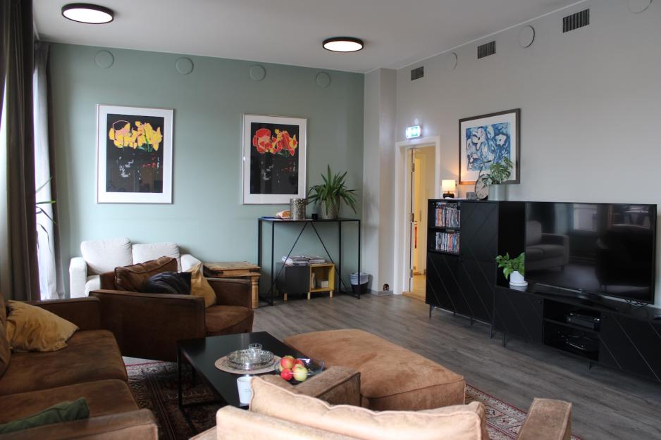 Stue med sofa, TV, bilder og planter