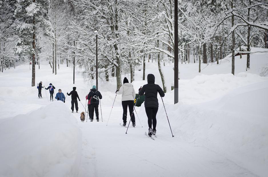 Utvekslingsstudenter på skitur rundt Sognsvann.