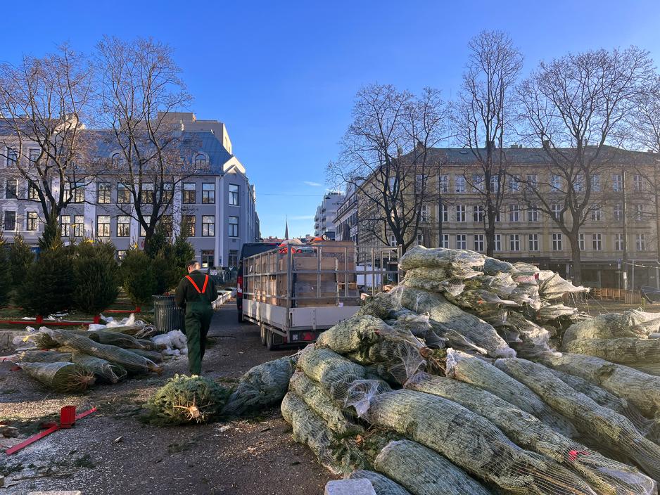 En stor haug med innpakkede juletrær ligger klare til å bli satt ut. 