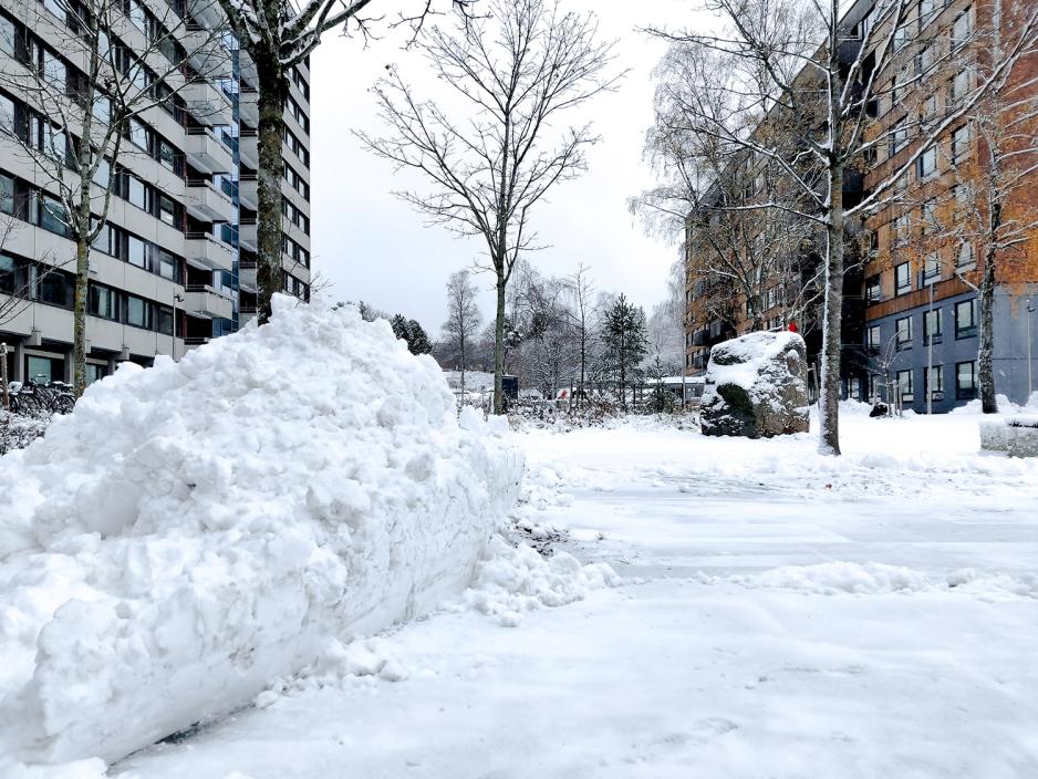 Brøytekant med snø