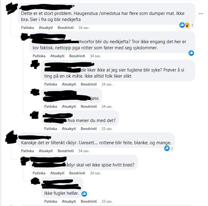 Skjermdump fra kommentarfelt i en offentlig facebookgruppe 