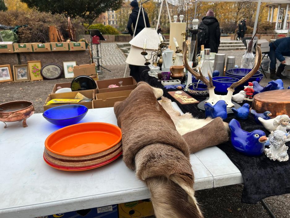 Reinskinn på et bord omkring diverse kunstgjenstander, fugler og dyrehodeskalle med gevir