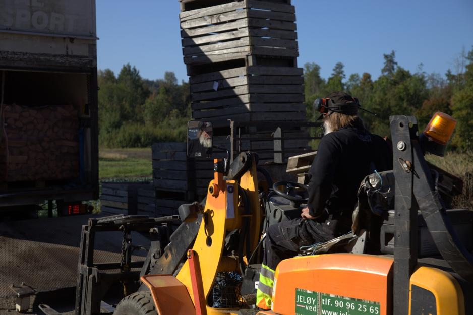 Einar Aas kjører vedpaller inn i traileren med gaffeltrucken sin