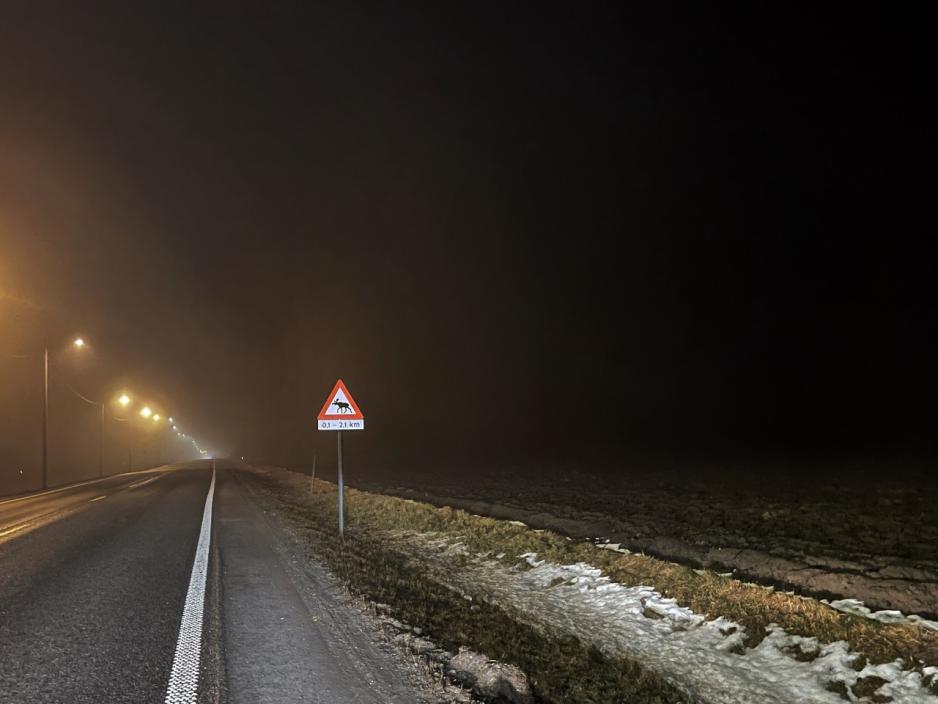 For å unngå viltpåkjørsler er det plassert varselskilt for å minne bilistene om faren.