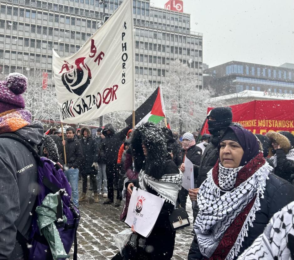 Demonstrasjon på Youngstorget for Gaza det snør