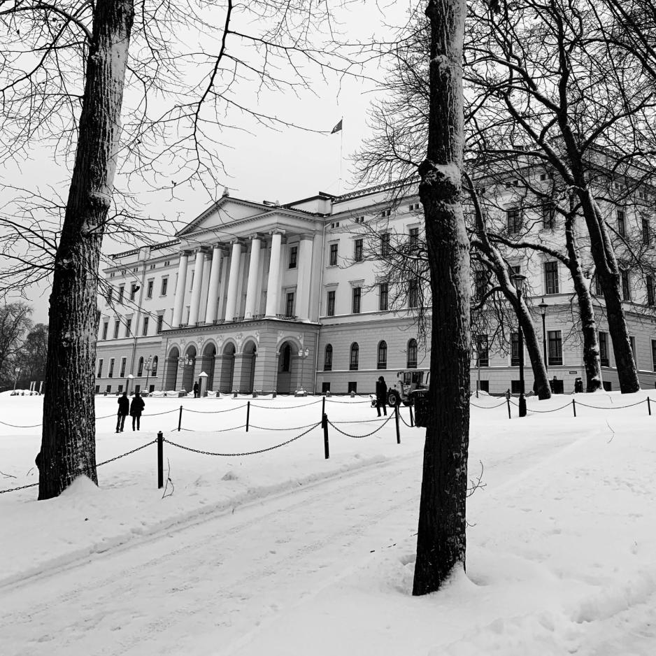 Bilde av slottet i snø