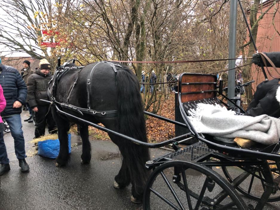 En sort hest med en vogn bak. Folk står rundt