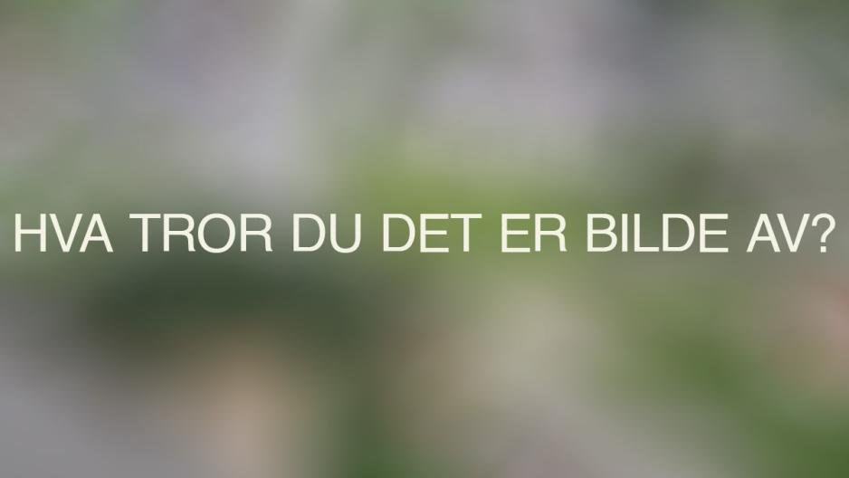 En uskarp bakgrunn med hvit tekst. Teksten sier: hva tror du det er bilde av?