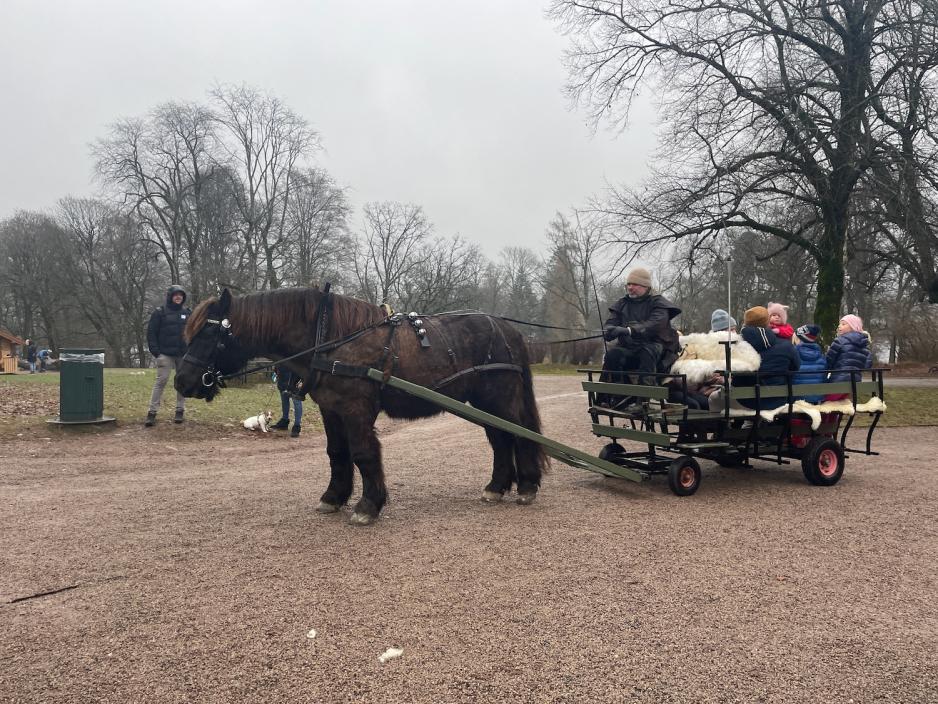 På bildet ser man en svart hest som trekker en vogn som det sitter flere mennesker i. Hesten blir styrt av en mann som sitter foran på vognen.