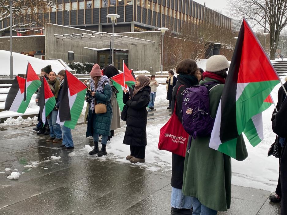 Bildet viser flere demonstranter for Palestina. Det er mange palestinske flagg. 