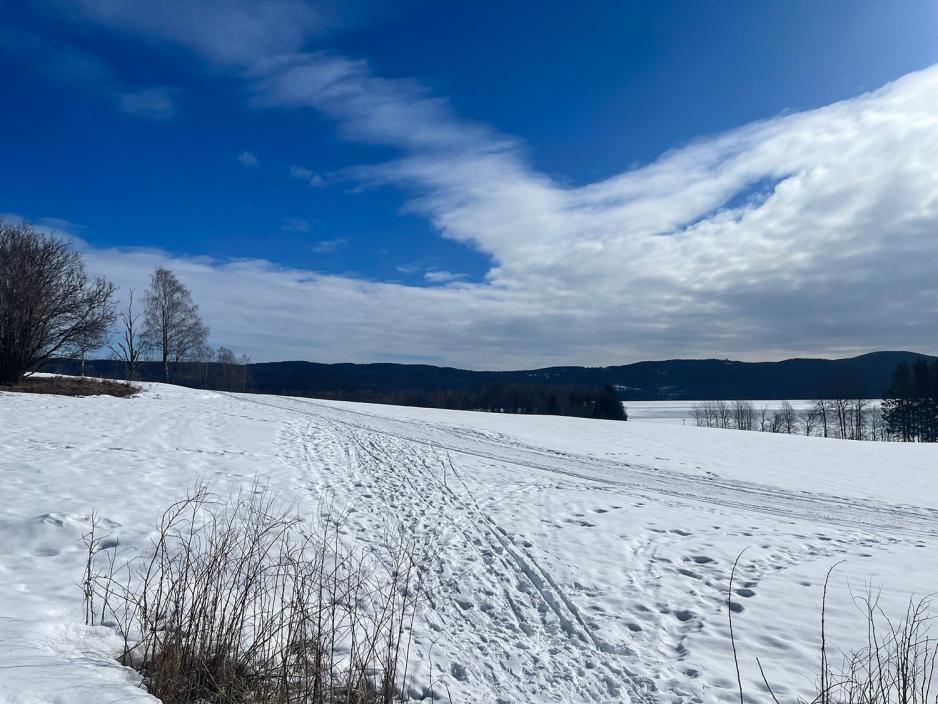 Maridalen i finværet 