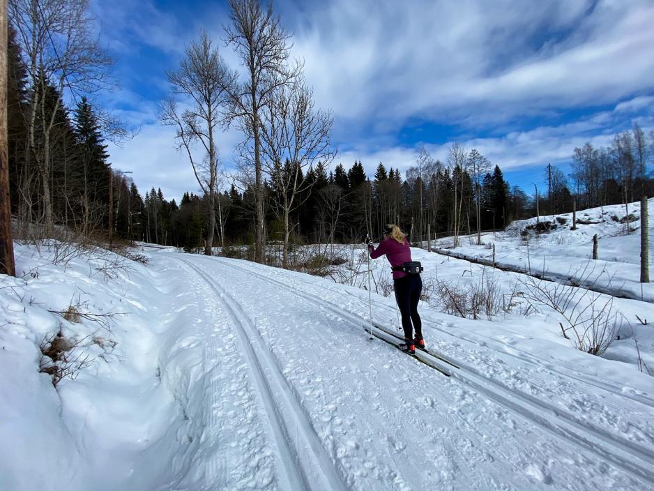 Dame på ski