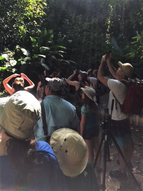 Turister i Costa Rica står på rekke og rad og tar bilder av naturen.