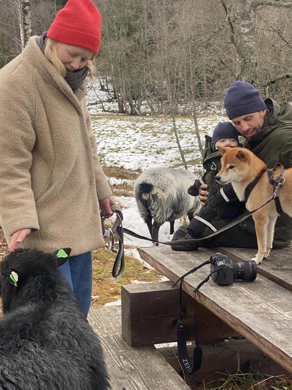 En dame, en hund, en mann, en liten gutt og tre sauer rundt. Utendørs