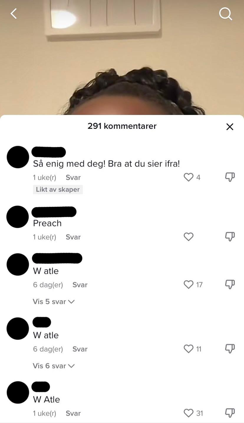 Kommentarfelt der mange kommentarer sier W Atle