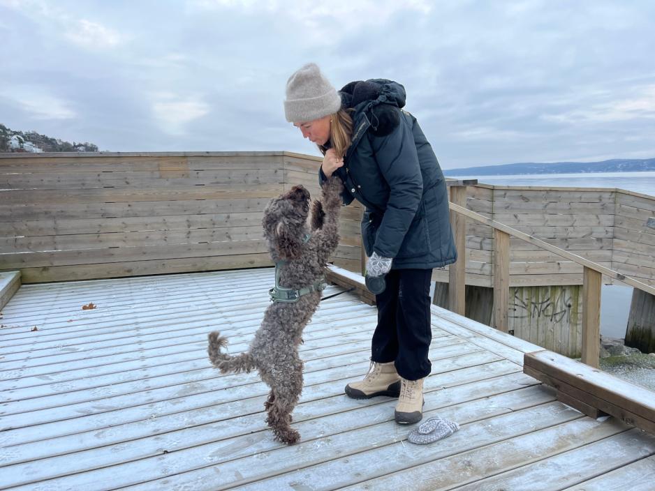 Hund og eier som leker 