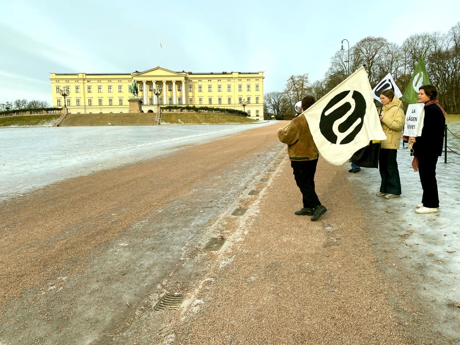 Flagg foran slottet