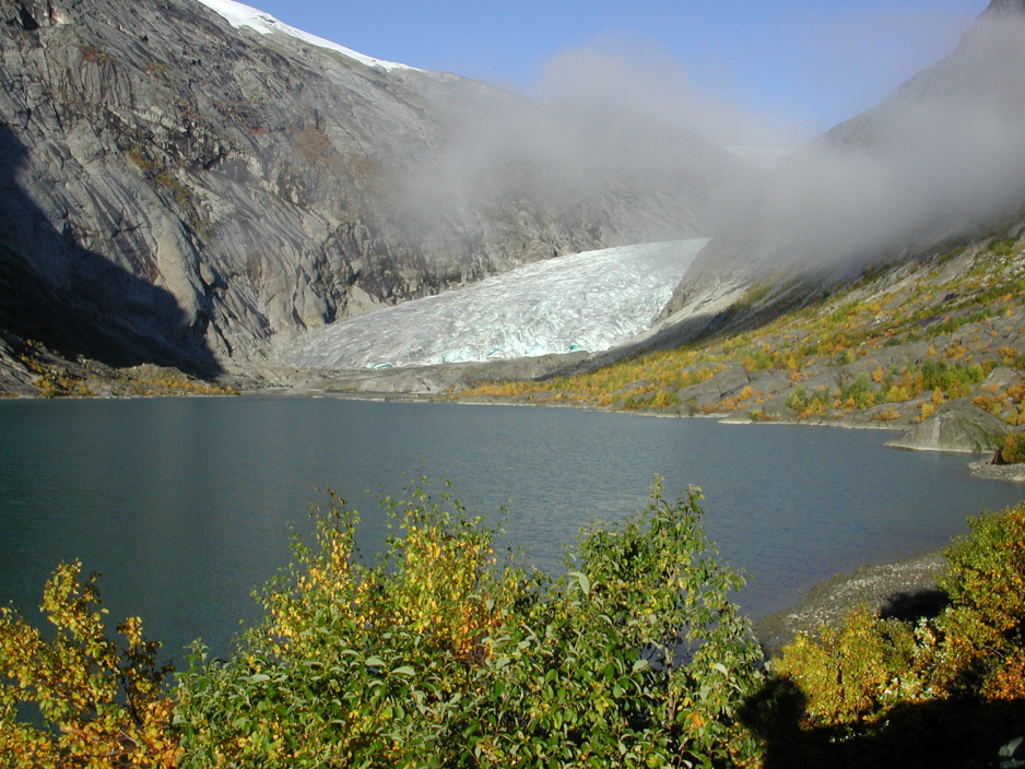 Nigardsbreen, Isbre