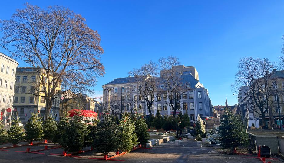 Et torg fullt av juletrær. 