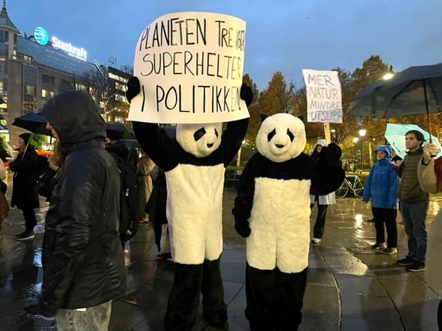 To stykk i pandakostyme med plakater