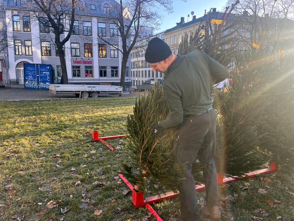 En mann setter opp et juletre