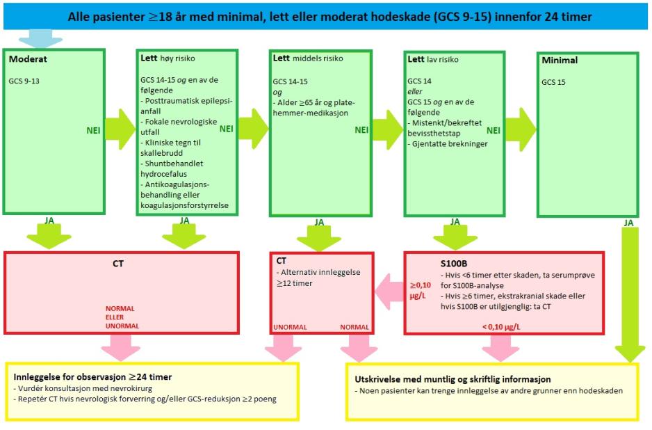 Norge skal følge internasjonale retningslinjer fra blant annet Scandinavian Neurotrauma Committee. Ovenfor kan man se retningslinjer for pasienter som er 18 år og eldre, med minimal, lett eller moderat hodeskade innenfor 24 timer.