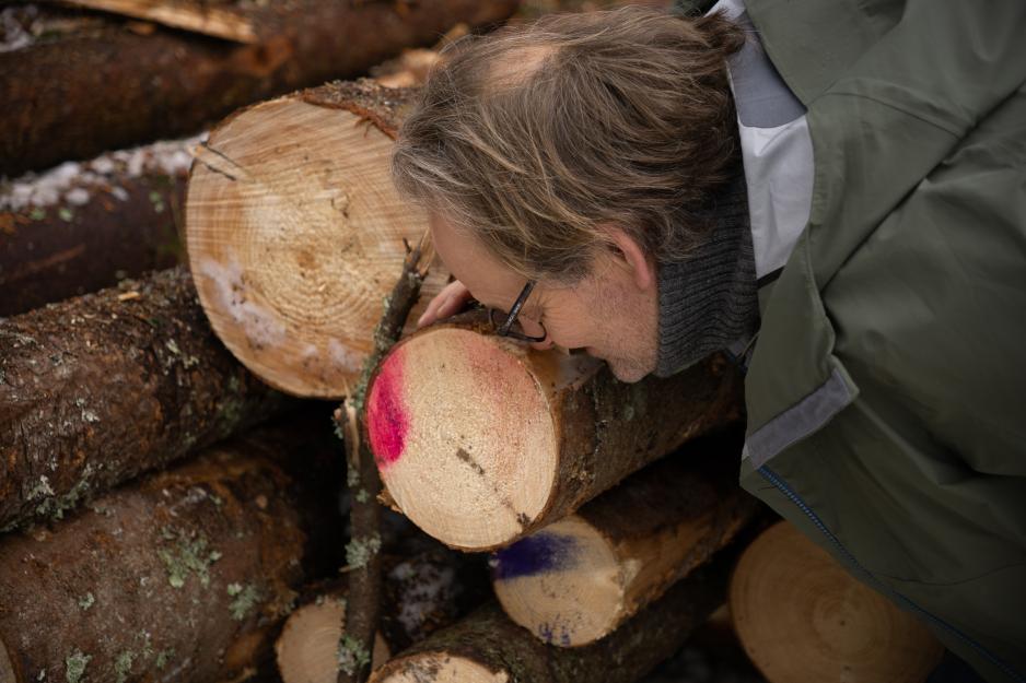 Man smelling wood