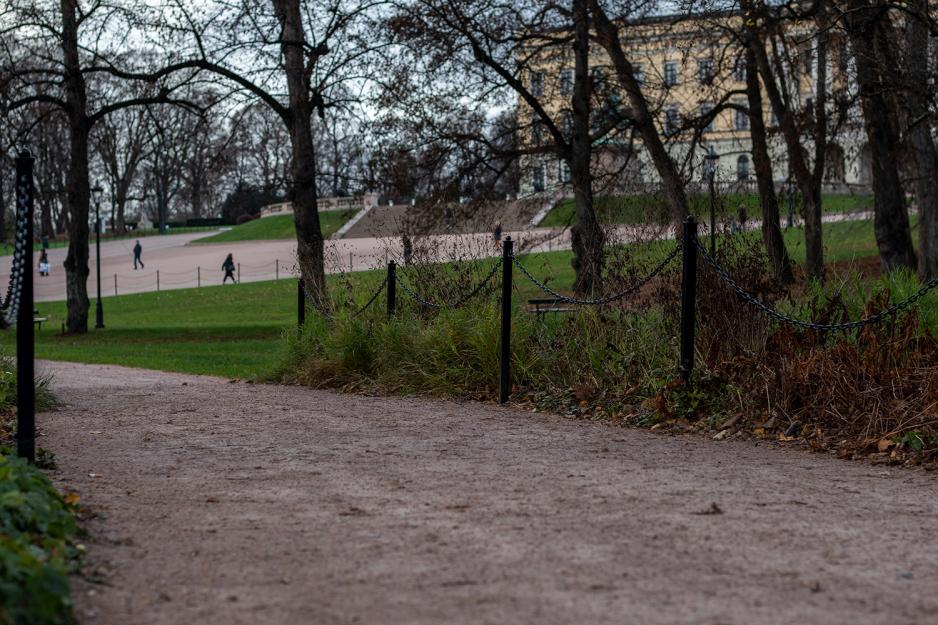 Park med grusvei og gressplener