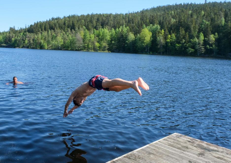 Gutt som stuper ut i vannet fra en brygge en solfylt dag