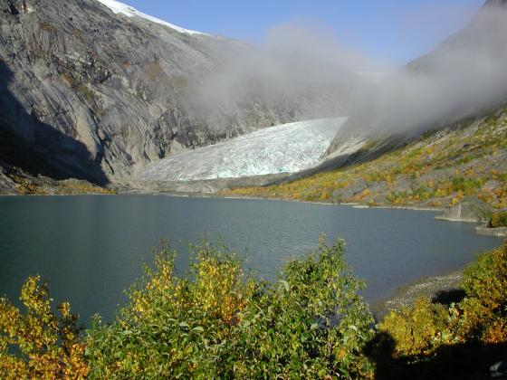 Isbre, Nigardsbreen