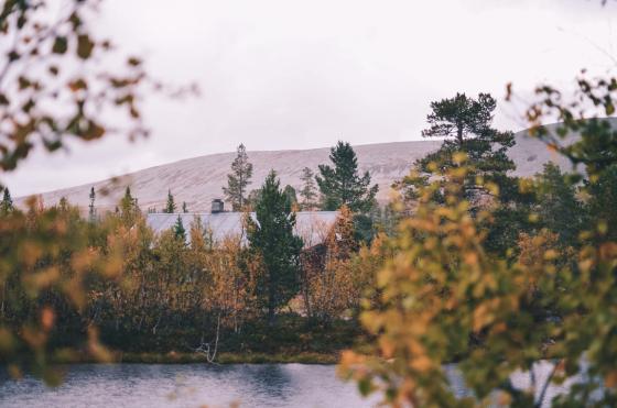 hytte i skogen