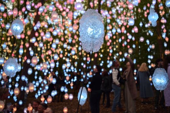 Kunstutstillingen Nordic Pixel Forest i Ekebergparken