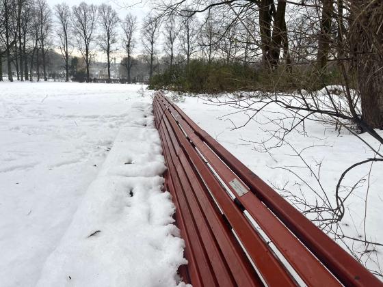 Benk i Frognerparken