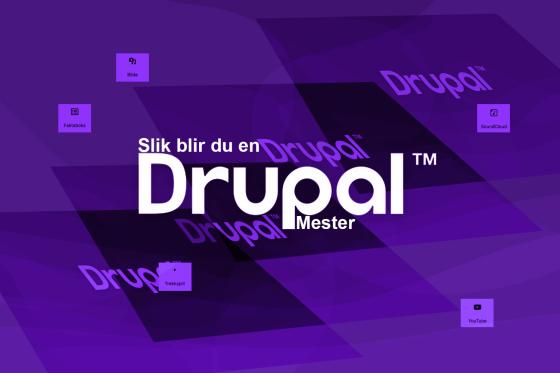 Drupal mester guide