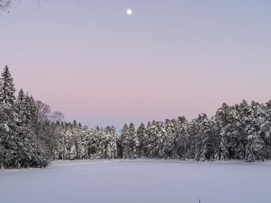 Vinter i Nordmarka