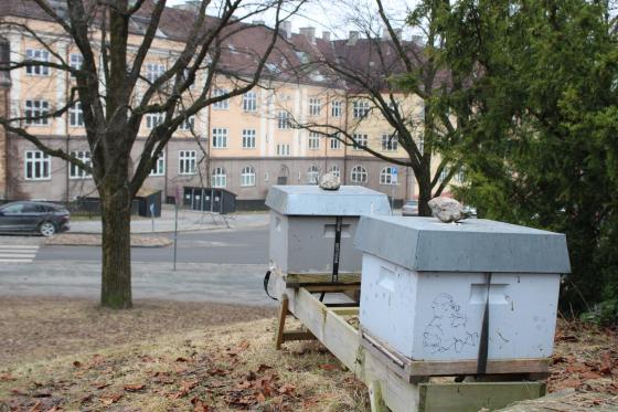 Bikube i bybildet