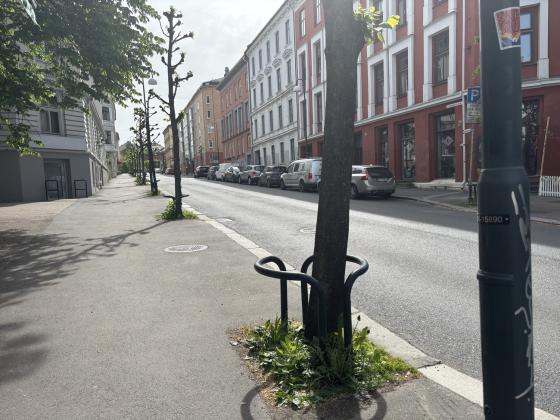 Del av Schweigaards gate. 