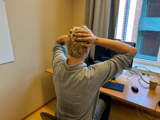 Studenter er den gruppen som stresser mest