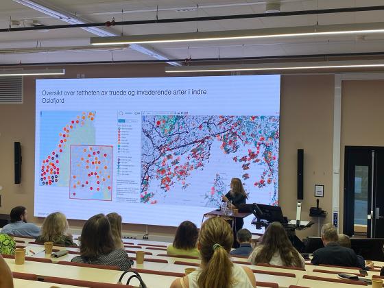 Bilde av en ppt om tetthet av truede arter i Norge 