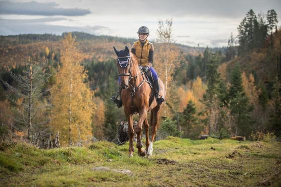 Høstlandskap med en kvinnelig rytter på en brun hest