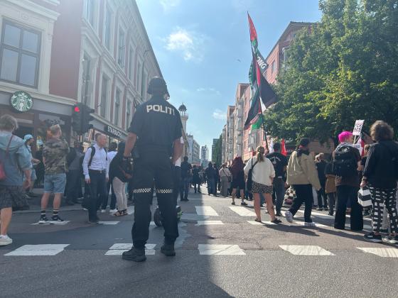 Politi og demonstranter på Grønland 